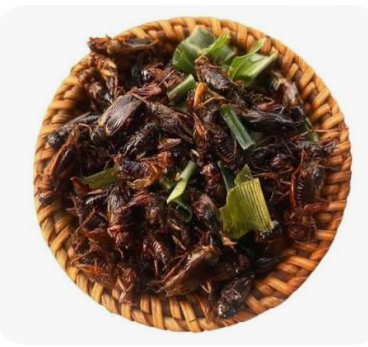 ທອດຈິ້ງຫຼີດ